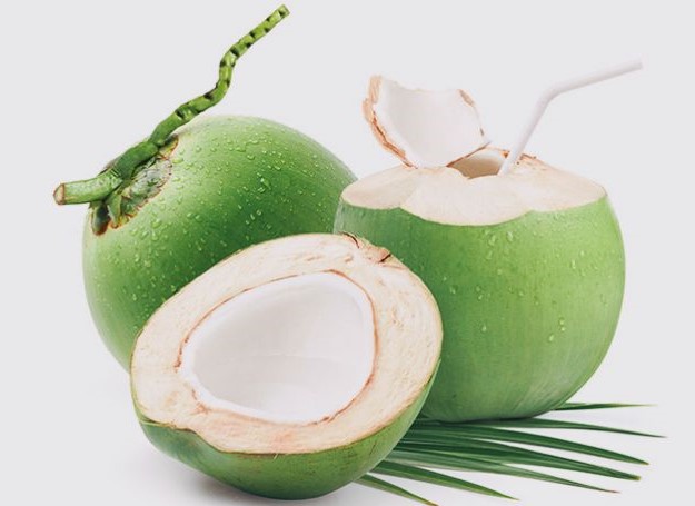 tips memulai usaha kelapa muda