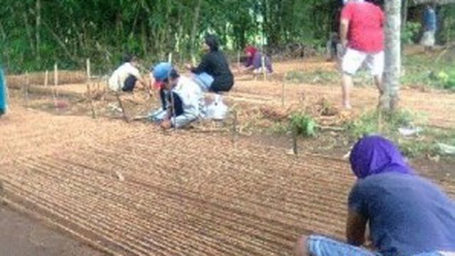 Cocomesh Biodegradable untuk Konservasi Alam