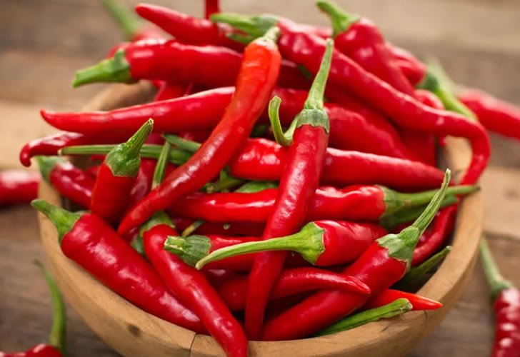 mesin giling cabai untuk usaha