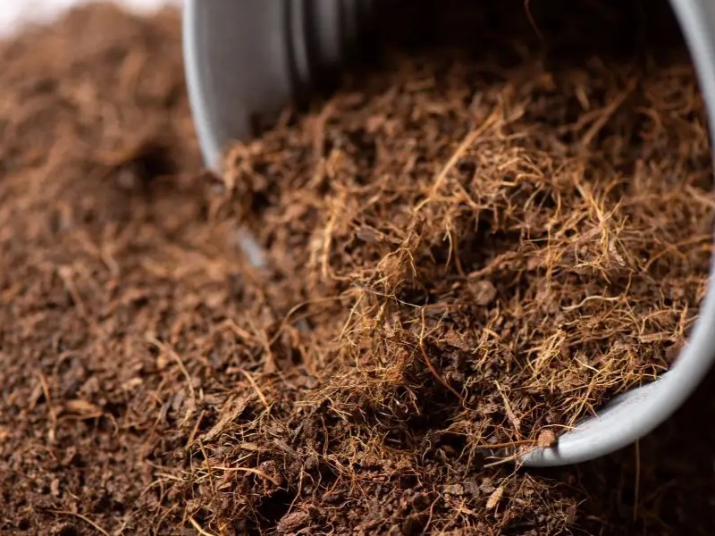 Penggunaan Cocomesh dalam Pertanian Organik