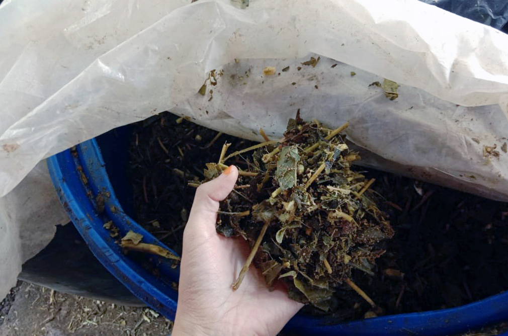 penyimpanan hijauan tanpa busuk