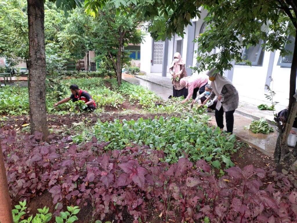 Pembelajaran Cocomesh di Sekolah Pertanian